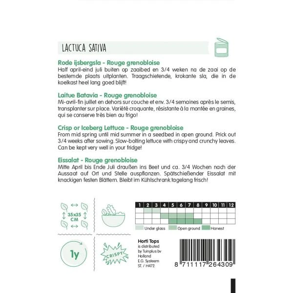 Rode Ijsbergsla, Rouge Grenobloise - Lactuca Sativa - Afbeelding 2