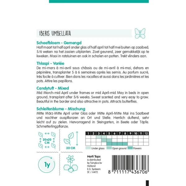 Scheefbloem Mix - Iberis Umbellata - Afbeelding 2