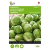 Spruitkool Topline F1 Hybride - Brassica Oleracea
