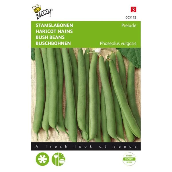 Stamslabonen (Prelude 30 G)