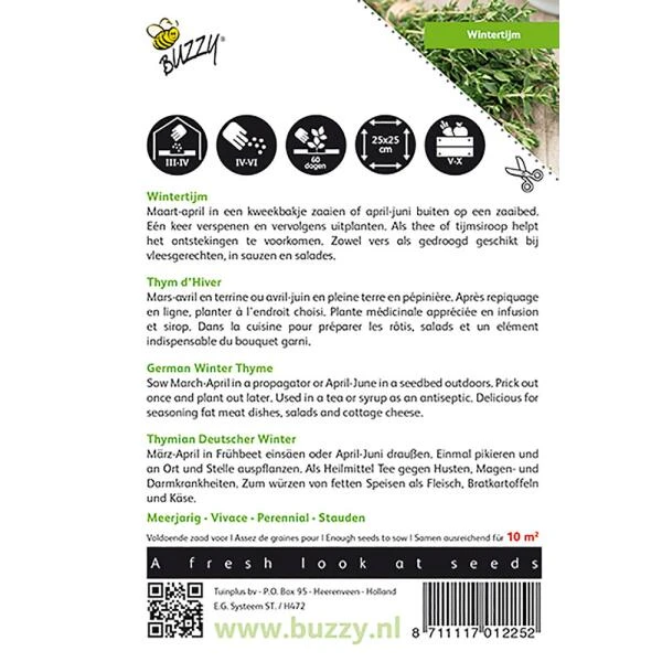 Tijm (wintertijm) - Thymus Vulgaris - Afbeelding 2