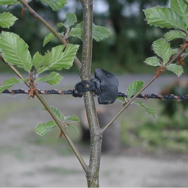 Tree-fix Boombinder 8 Cm - Set Van 50 Stuks - Afbeelding 2