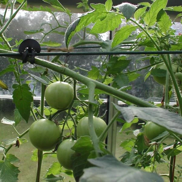 Tree-fix Boombinder 8 Cm - Set Van 50 Stuks - Afbeelding 3