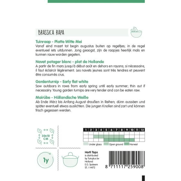 Tuinraap Platte Witte Mei - Brassica Rapa - Afbeelding 2