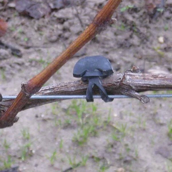 Vigne-fix 7 Cm Plantenbinder - 500 G - Afbeelding 2