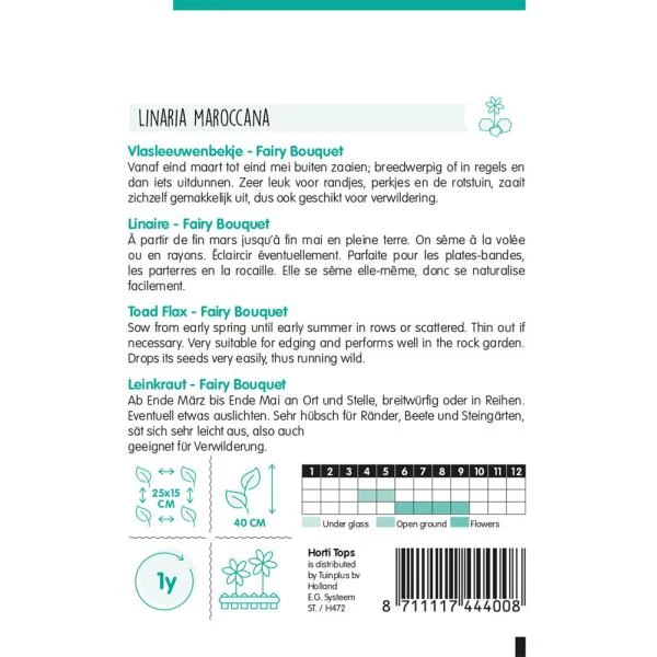 Vlasleeuwenbekje Fairy Bouquet - Linaria Maroccana - Afbeelding 2