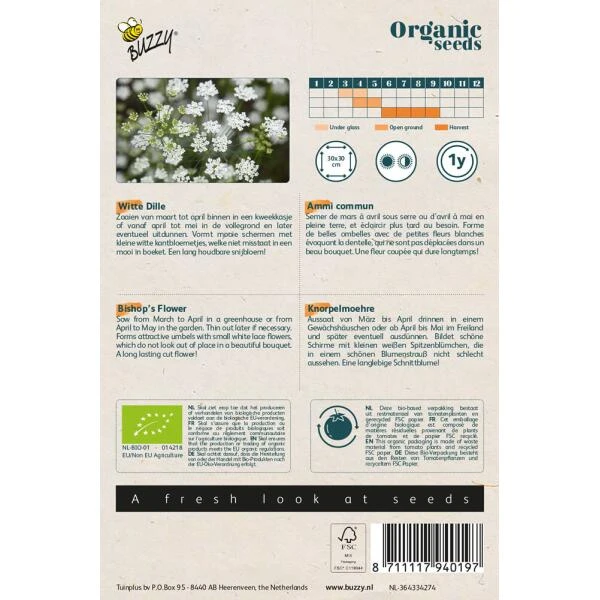 Witte Dille - Ammi Majus BIO - Afbeelding 2