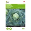 Witte Kool Langedijker Bewaar - Brassica Oleracea