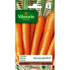 Wortel Fly Away - Daucus Carota