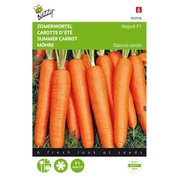 Zomerwortel Napoli F1 - Daucus Carota