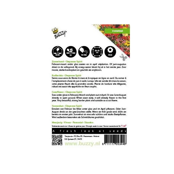 Zonnehoed - Rudbeckia Cheyenne Spirit - Afbeelding 2